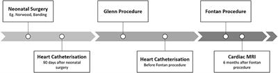 Neutrophil-to-Lymphocyte and Platelet-to-Lymphocyte Ratio in Univentricular Patients From Birth to Follow-Up After Fontan—Predicting Lymphatic Abnormalities